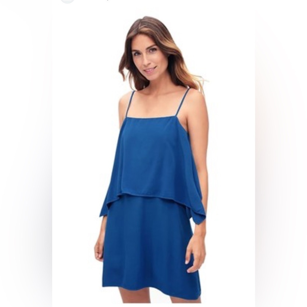 Splendid Blue Dress